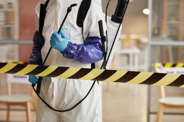 Professional Sewage Cleanup technician working in Bogota, NJ