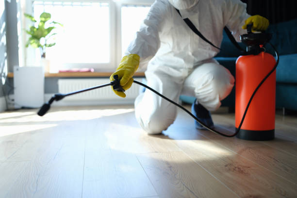 Reliable Sewage Cleanup contractor in Bogota, NJ by Trauma Clean Pros